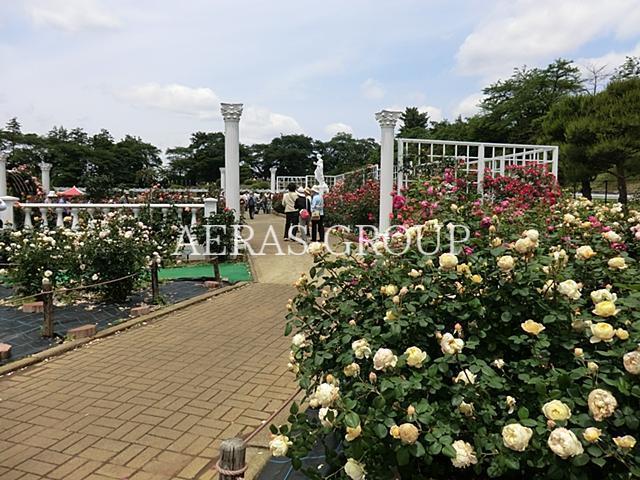 その他　生田緑地ばら苑（その他）まで814m