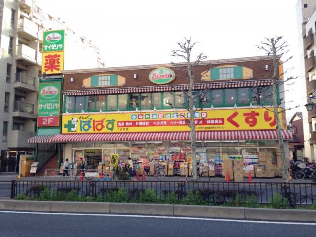 ドラックストア　どらっぐぱぱす下赤塚店（ドラッグストア）まで318m