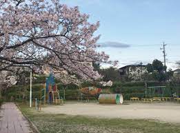 公園　丸山公園（公園）まで1567m