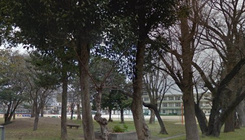 小学校　大分市立長浜小学校（小学校）まで1020m