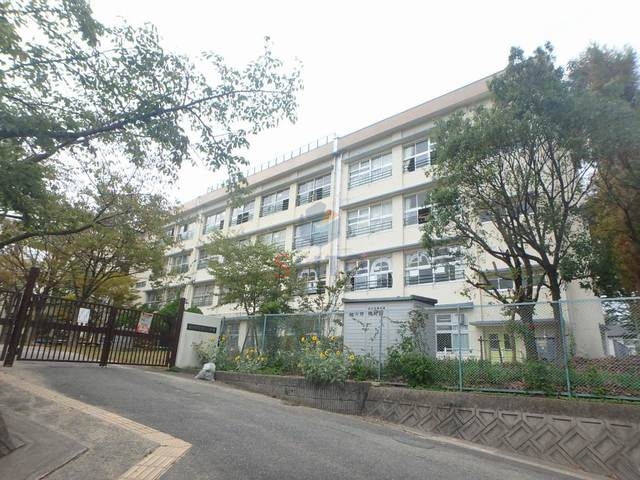 小学校　豊中市立泉丘小学校（小学校）まで766m