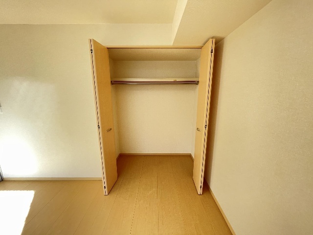 収納　クローゼットタイプの収納