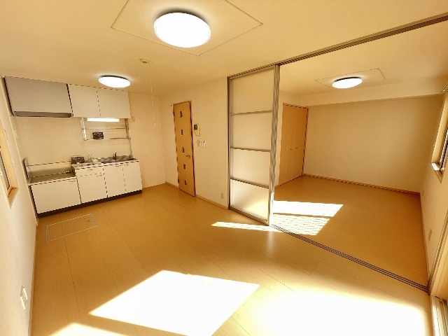 居室・リビング　照明器具付きのお部屋