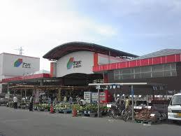 ホームセンター　ナンバ 鳥取東店（ホームセンター）まで250m