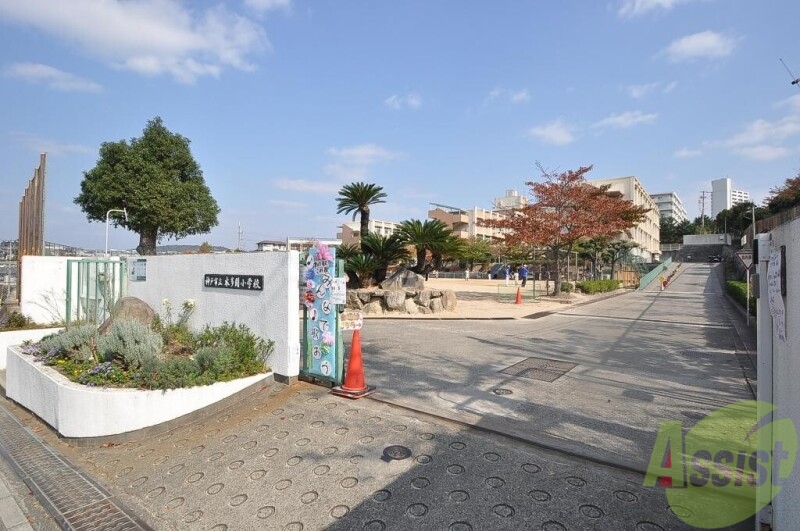 小学校　神戸市立本多聞小学校（小学校）まで511m