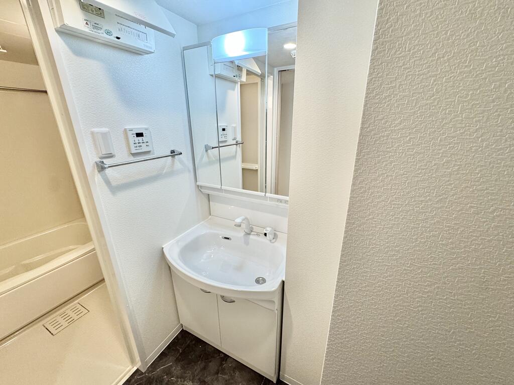 洗面設備　105号の写真です。