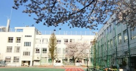 小学校　新宿区立江戸川小学校（小学校）まで715m