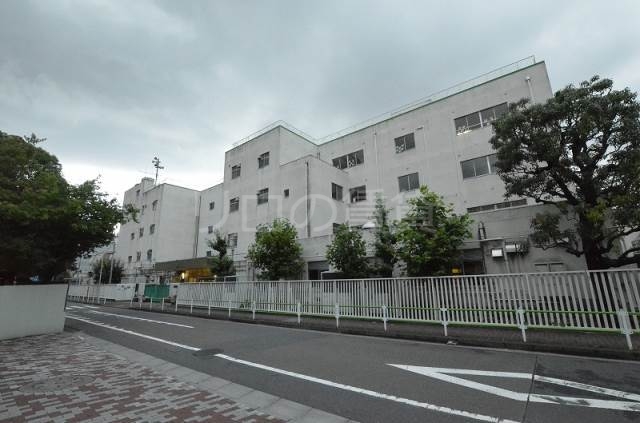 小学校　新宿小学校（小学校）まで297m
