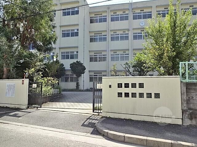 中学校　豊中市立第十五中学校（中学校）まで185m