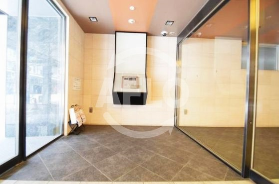 セキュリティ　La Douceur難波東（ラドゥセール難波東）　エントラン