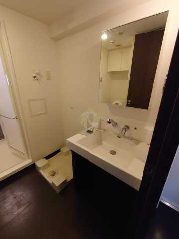 洗面設備　プラウドフラット大塚の洗面所