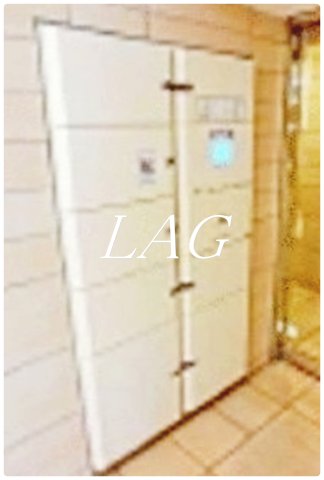 その他共有部分　宅配ボックスです。