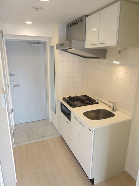 玄関　※以下他号室参考写真です。