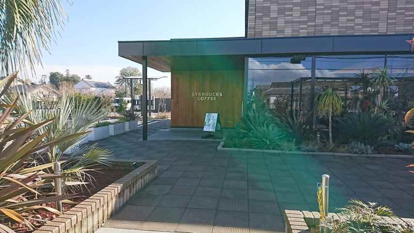 飲食店　スターバックス（飲食店）まで305m
