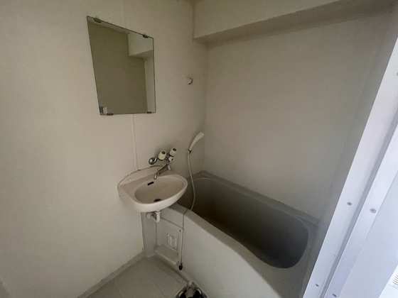 バス・シャワールーム　※別部屋の写真です