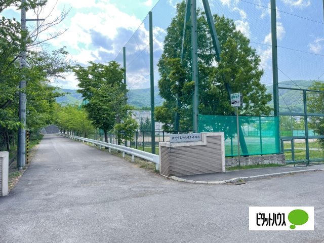 小学校　札幌市立手稲宮丘小学校（小学校）まで584m