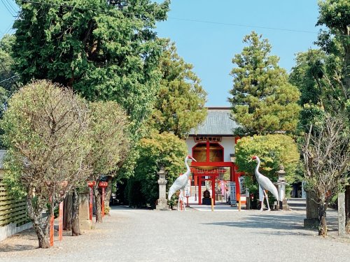 その他　箱崎八幡神社（その他）まで1532m