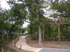 公園　用賀北小緑地（公園）まで430m