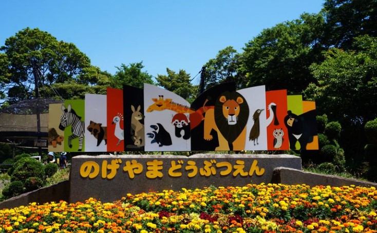 その他　野毛山動物園（その他）まで200m