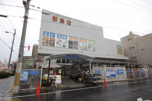 ホームセンター　コーナン 都島店（ホームセンター）まで347m
