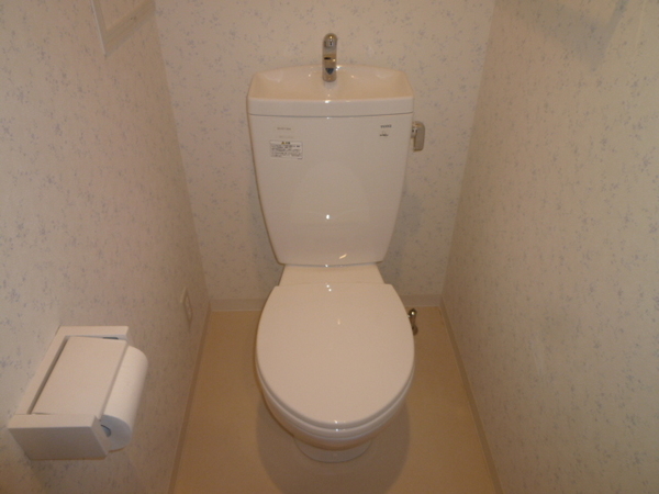 トイレ　シャンプードレッサー