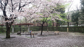 公園　高井戸藤が丘公園（公園）まで230m