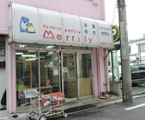 その他　メリリー（その他）まで196m