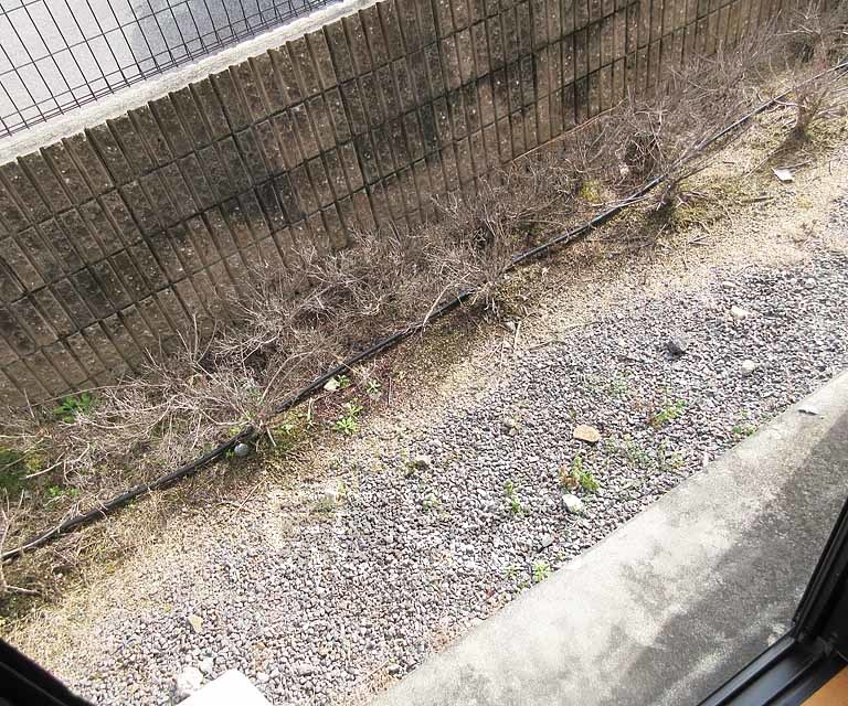 バルコニー　バルコニーも広々・