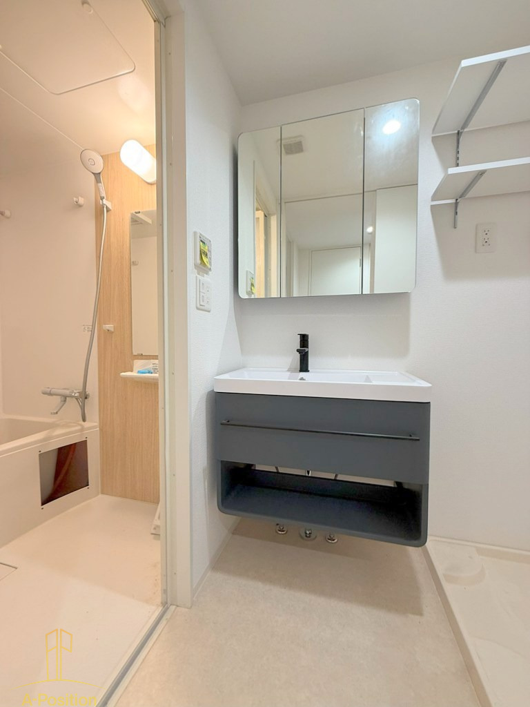 洗面設備　セレニテフラン谷町四丁目