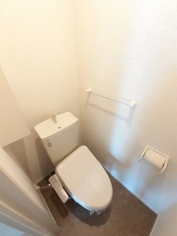 トイレ　トイレも気になるポイント