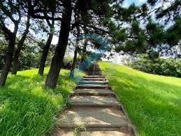 公園　富士公園（公園）まで1090m