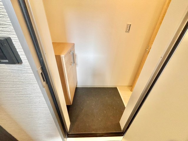 玄関　※同タイプ施工例