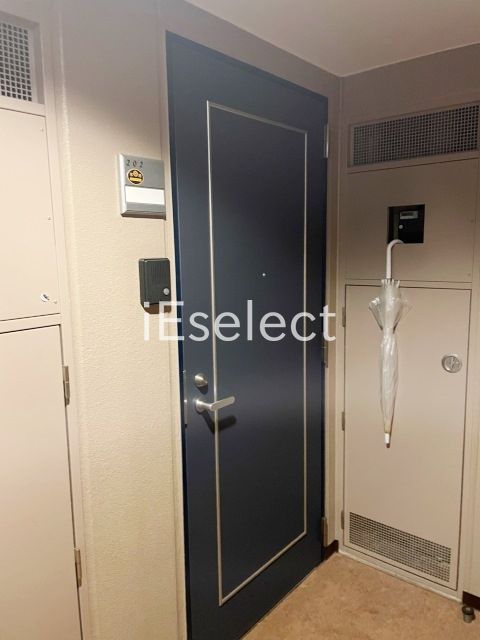 エントランス　お部屋の入り口部分です