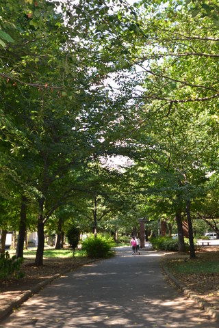 公園　東綾瀬公園（公園）まで1000m