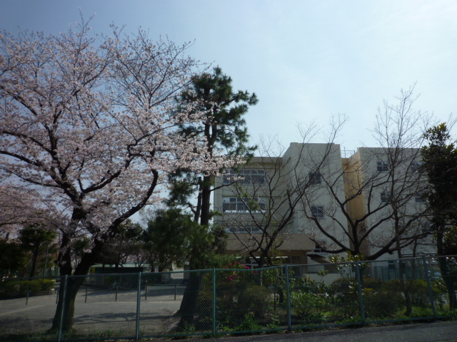 小学校　成瀬台小学校　約340m（小学校）まで340m