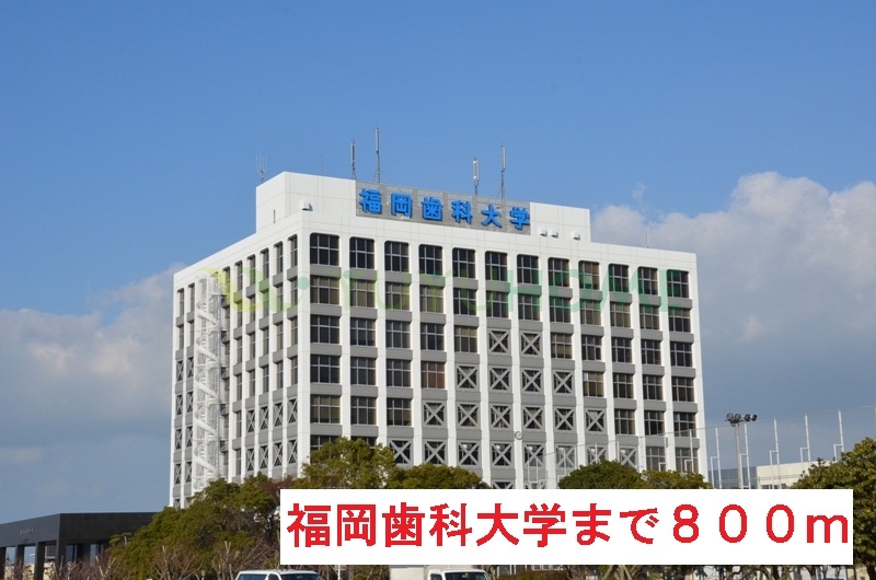 大学・短大　福岡歯科大学（大学・短大）まで800m
