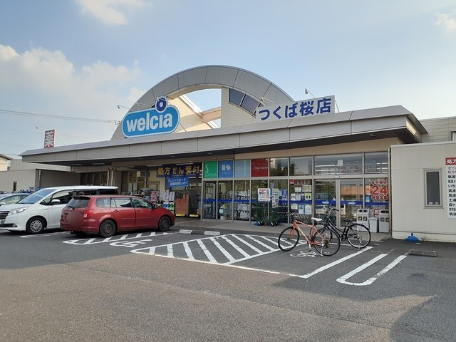 ドラックストア　ウェルシアつくば桜店（ドラッグストア）まで400m