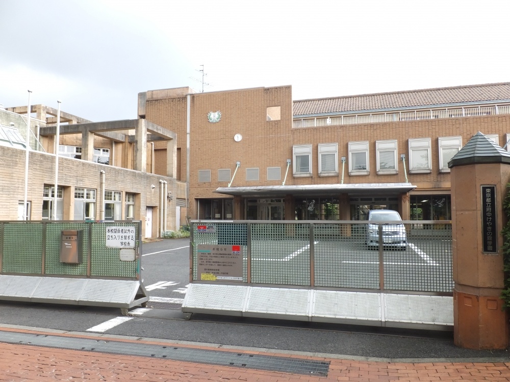 その他　都立府中けやきの森学園（その他）まで1029m