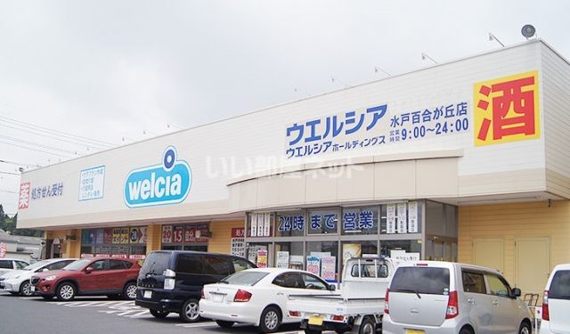ドラックストア　ウエルシア水戸百合が丘店（ドラッグストア）まで1050m
