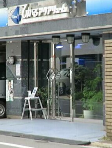 その他　株式会社ひかるアクアリューム 本店（その他）まで1972m