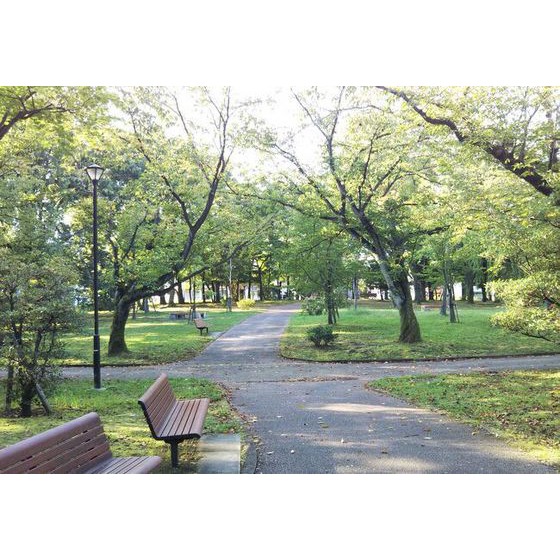 公園　玉川公園（公園）まで550m