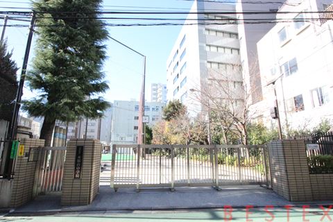 中学校　文京区立本郷台中学校（中学校）まで441m