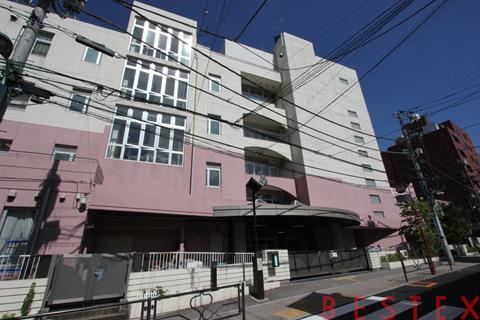 小学校　文京区立本郷小学校（小学校）まで568m