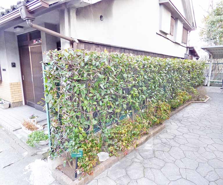 庭