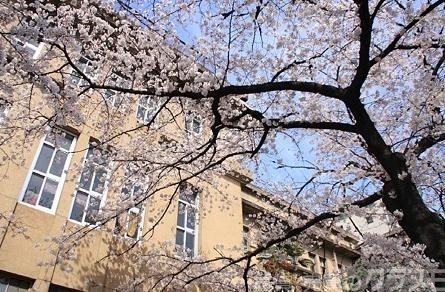 小学校　高倉小学校（小学校）まで1100m