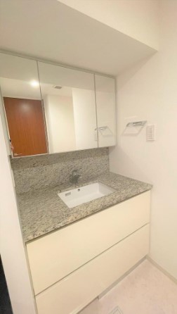 洗面設備　※別部屋の参考写真です。