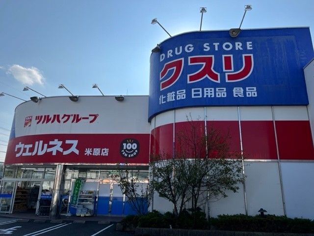 ドラックストア　ウェルネス米原店（ドラッグストア）まで700m