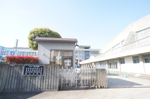 幼稚園・保育園　聖心幼稚園（幼稚園・保育園）まで826m