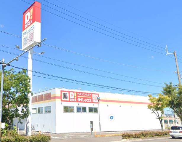 その他　ダイレックス（その他）まで410m