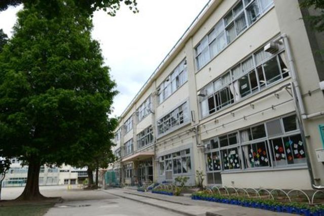 小学校　杉並区立杉並第一小学校（小学校）まで283m